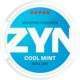 ZYN Cool Mint Mini Dry 9 mg